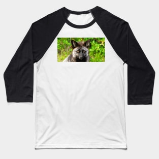 Wild coyote face mask design A Baseball T-Shirt